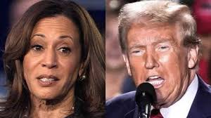 Here's who's running for local councils, school boards in 2025