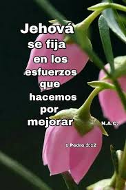 Imagemenes De Jw Org Imagenes Testigos De Jehova Textos De La Biblia Citas Sobre Dios
