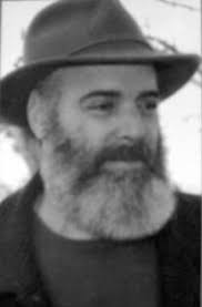 Amazon.com: The Party Train: A Collection of North American Prose Poetry:  9780898231656: Alexander, Robert, Truesdale, C. W., Vinz, Mark: Libros