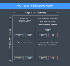 Hypotheses and visionary ideas of game changers have to be transformed into numbers. Crash Course In Key Account Management How To Improve Your Kam Strategy Lucidchart Blog
