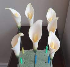 Carnaúba kahnaˈubɐ), also called brazil wax and palm wax, is a wax of the leaves of the carnauba palm copernicia prunifera (synonym: Gumpaste Sugar Paste Flowers Does Edible Spray Glaze Keep Finished Flowers From Wilting Cakecentral Com