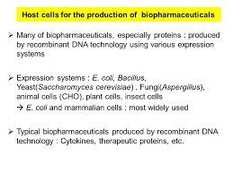 Check spelling or type a new query. Host Cells For The Production Of Biopharmaceuticals Many Of Biopharmaceuticals Especially Proteins Produced By Recombinant Dna Technology Using Various Ppt Download