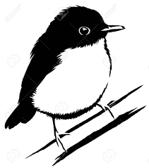 We did not find results for: Black And White Sparrow Bird Illustration Stock Photo Picture And Royalty Free Image Image 64226908