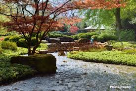 Japanischer Garten 38 News Von Burgerreportern Zum Thema