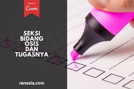 Seperti untuk penulisan di cv lamaran kerja, beasiswa, bantuan dana, publikasi akademik ataupun untuk portopolio di blog pribadi. Beberapa Seksi Bidang Osis Dan Tugasnya Yang Perlu Kamu Tau