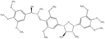 Image result for Bonamia spectabilis