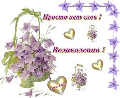 ÐÐ°ÑÑÐ¸Ð½ÐºÐ¸ Ð¿Ð¾ Ð·Ð°Ð¿ÑÐ¾ÑÑ Ð²ÐµÐ»Ð¸ÐºÐ¾Ð»ÐµÐ¿Ð½Ð¾