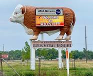 Eastern Montana Fair
