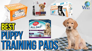 Simple solution large washable puppy pad. 10 Best Puppy Training Pads 2017 Youtube