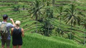 5 Sawah di Indonesia Selain Ubud dengan Pemandangan Unik