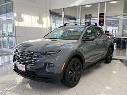 Image result for Blue Stone 2024 Santa Cruz