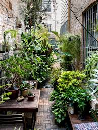 David Whitworth The Design Files Australia S Most Popular Design Blog Small Courtyard Gardens Courtyard Gardens Design Garden Nook