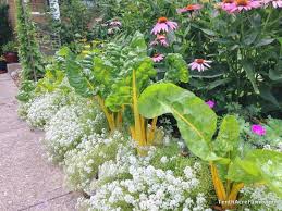 Maybe you would like to learn more about one of these? 12 Steps To Preventing Garden Pests Naturally Tenth Acre Farm