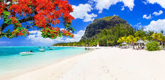 We did not find results for: Mauritius Vacanta Exotica In Paradis Paralela 45