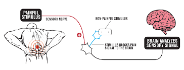 Tens Vs Nmes Whats The Main Difference Compex Com