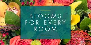 Abington is a township located in montgomery county. How To Make Every Room Bloom Robertson S Flowers
