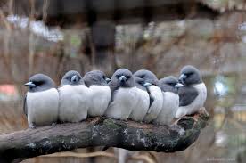 Bird group is a privately owned and operated company managed by the bird family but does not include all of the family's commercial activities. Birds Group