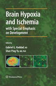 Sensory nuclei end up more to the sides and motor are more medially. Pdf Brainstem Sensitivity To Hypoxia And Ischemia