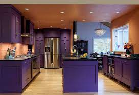 Open Layout Kitchen With Island Purple Kitchen Purple Kitchen Cabinets Dark Kitchen