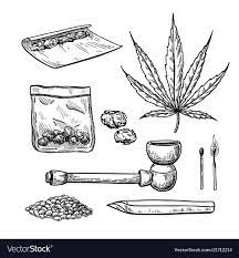 Marijuana Or Cannabis Drawing Set Plant Royalty Free Vector