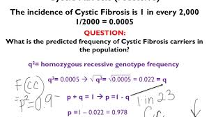 2pq = (2)(.98)(.02) = 0.04 or 1 in 25. How To Do Hardy Weinberg Equations Kcpc Org