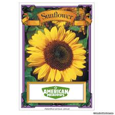 Sunflower Seed Packet American Meadows Flower Seeds Packets Flower Seeds American Meadows