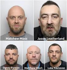 Drug gang caught with heroin and cocaine inside cat carrier