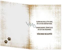 Image result for animovan  p%u0159 n  k narozenin m