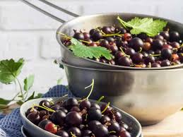 Image result for jostaberry