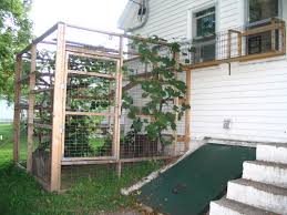 We took two old sten shelving unit from the garage and made a cat enclosure. Catio Construction Our Tiny Homestead