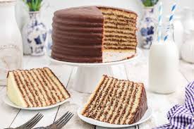 Chocolate Little Layer Cake Recipe - Lana's Cooking