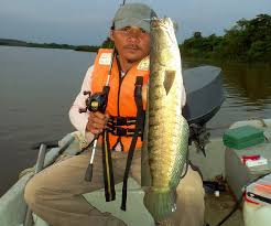 Ricevi risposte dal personale della struttura bukit merah laketown club house e dai visitatori precedenti. Trip Retro Predator Tasik Bukit Merah Umpan