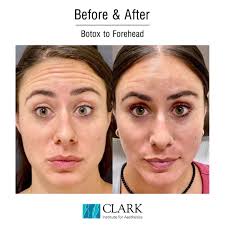 Clark Institute for Aesthetics