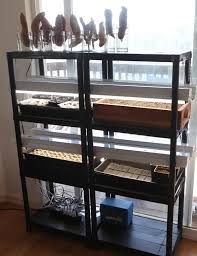 Check spelling or type a new query. 30 Ultimate Diy Indoor Greenhouse Ideas For Smart Gardening