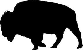 Bison Clipart Transparent Bison Transparent Transparent Free For Download On Webstockreview 2020 We believe in helping you find the product that is right for you. bison clipart transparent bison