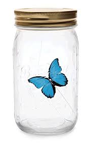 Each corked jar contains minimum of 2 wings (depending on size). Electronic Butterfly In A Glass Blue Approx 17 X 9 X 9 Cm Moth With Noise Control As A Present Grinscard Buy Online In Saint Lucia At Saintlucia Desertcart Com Productid 59764848