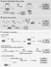 Arti kode 880 adalah ba (8) ba (8) ling (0) seperti ba ba ling yang berarti memeluk kamu, dengan bahasa lain yang biasa di sebut bao bao ni. Redox Control Of Microglial Function Molecular Mechanisms And Functional Significance Abstract Europe Pmc
