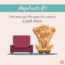 25+ super cool questions (and answers) only the geekiest will get right. 10 Fun Fascinating Facts About Furniture Rentomojo