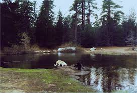 Check spelling or type a new query. San Bernardino Mountains Land Trust Our Calendar