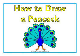 How To Draw A Peacock Posters Sb12333 Sparklebox