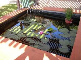 Find the perfect pond from above stock illustrations from getty images. It S Paying Off Lots O Pics Cinder Block Garden Cinder Block Affordable Backyard Ideas