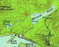 Andy Coney: The Mythical Minnow Brook West