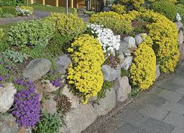 Steinwalle Und Trockenmauern Teil 1 Juni 2009 Familienheim Und Garten In 2020 Steinmauer Garten Gartenmauern Pflanzen