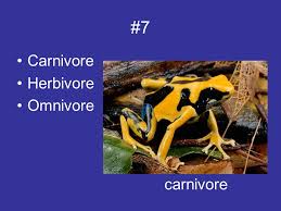 Use The Word Bank Given To Determine If Each Organism Is A Carnivore Herbivore Omnivore Ppt Download