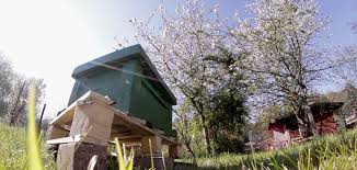 Je 200 m² garten sollten es nur ein bis zwei bienenvölker sein. Ein Zuhause Fur Die Bienen Nearbees