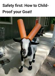 Pin By Mark Tucker On Funny Funny Funny Cute Animal Memes