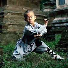 40 Peaceful And Solid Shaolin Monk Martial Art Demonstrations Bored Art Martial Arts Shaolin Monks Kung Fu Martial Arts