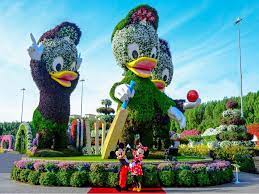 Dress Code For Miracle Garden Dubai Qut Blog