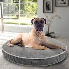 Maybe you would like to learn more about one of these? Round Pet Bed Kirkland Signature 42 Delivery Cornershop By Uber Canada