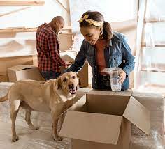 Pet care services in chennai. Pet Care Services In Chennai Homes Of Heaven